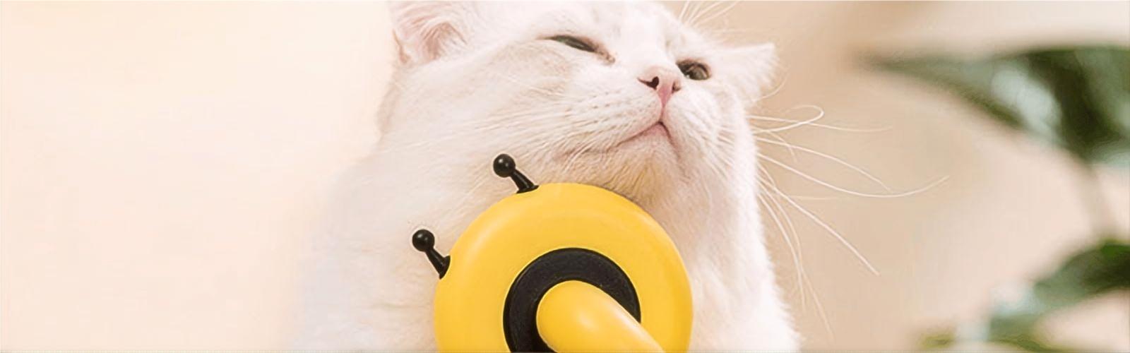 collection-banner-image